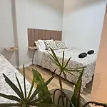 Coastal Nest In *